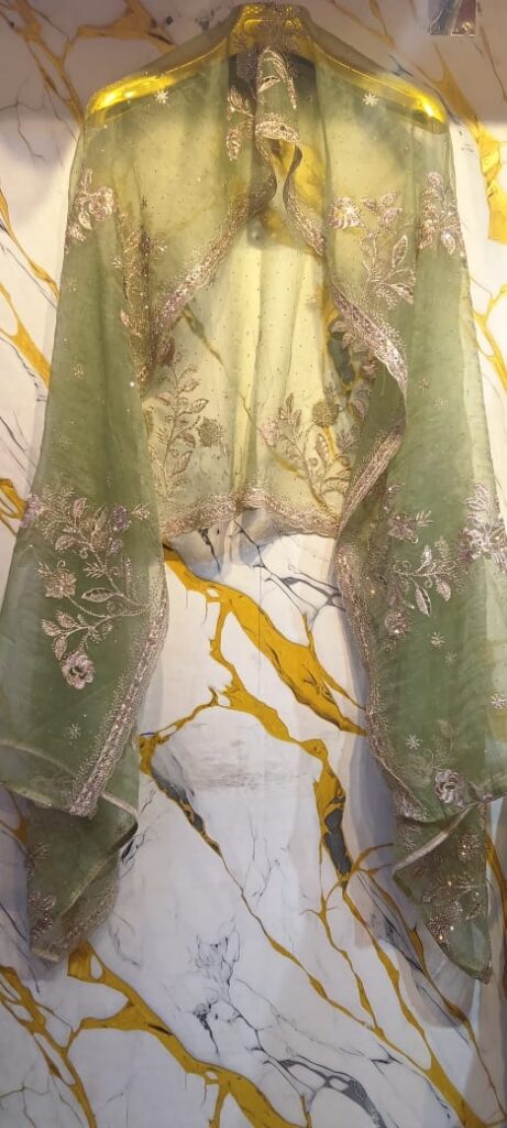 Fancy churidar