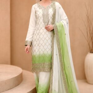 fancy churidar