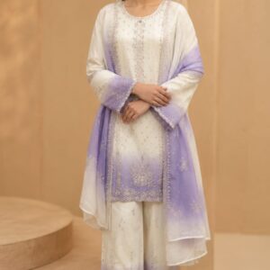 fancy churidar