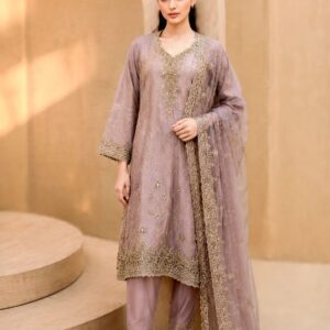 fancy churidar - Image 1